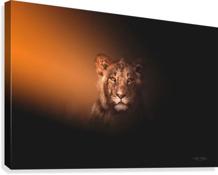 Touched By Light Canvas Print