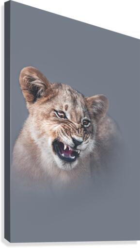 Feisty Kitty Canvas Print