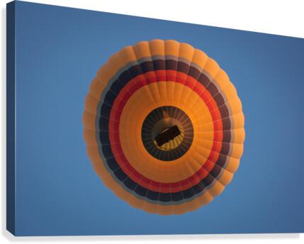 3W3A8164 Canvas Print