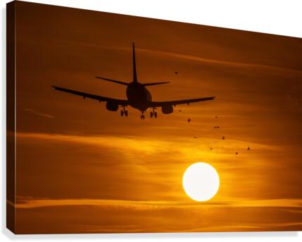 3W3A4090 Canvas Print