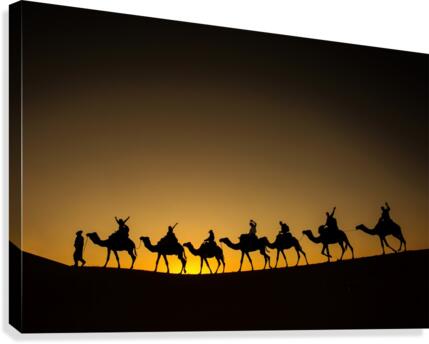 3W3A9047 Canvas Print