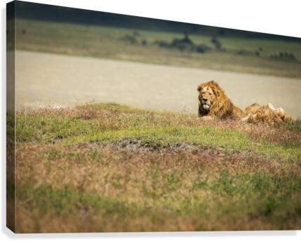 3W3A0055 Canvas Print