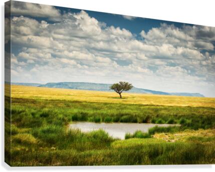 3W3A0087 Canvas Print