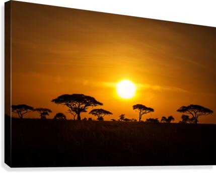 3W3A8523 Canvas Print