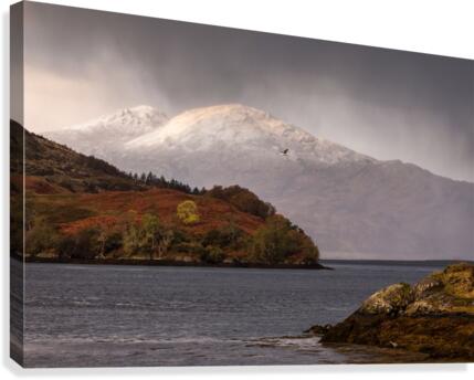 9W8A3897copy Canvas Print