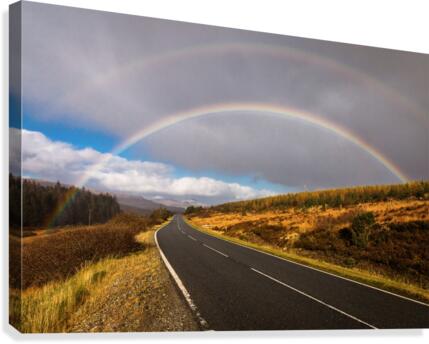 9W8A3697copy Canvas Print