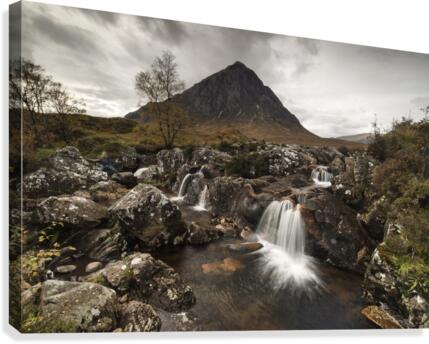 9W8A1743copy Canvas Print