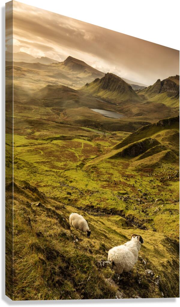 9W8A2358copy Canvas Print