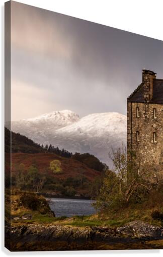 9W8A3906copy Canvas Print