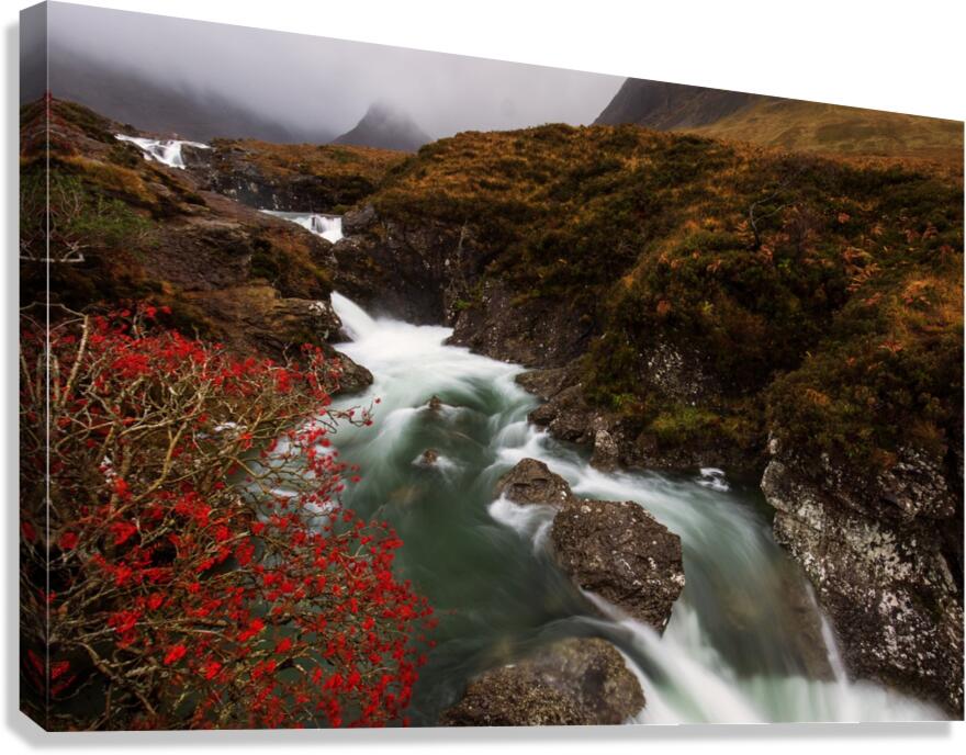 9W8A3234copy Canvas Print