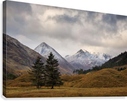 9W8A3931copy Canvas Print