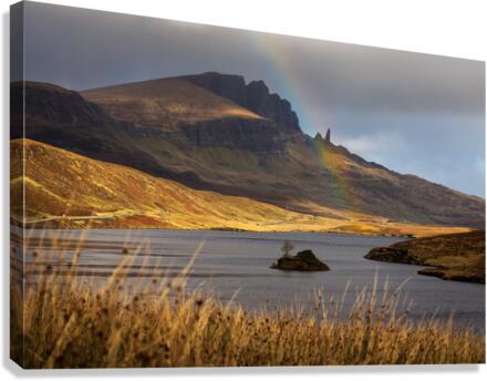 9W8A3609copy Canvas Print