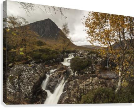 9W8A1738copy Canvas Print