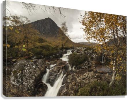 9W8A1738copy Canvas Print