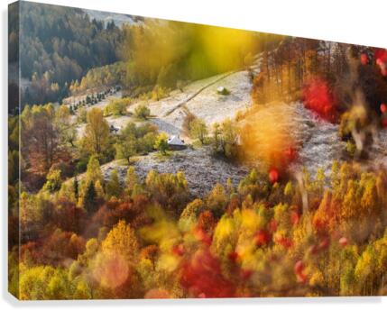 9W8A5209copy Canvas Print