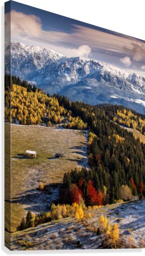9W8A5695copy Canvas Print