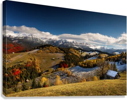 9W8A5707copy Canvas Print