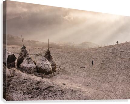 9W8A5003copy Canvas Print