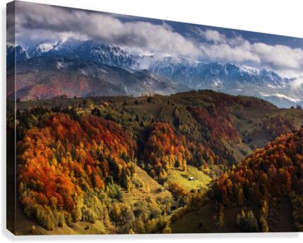 9W8A5632copy Canvas Print