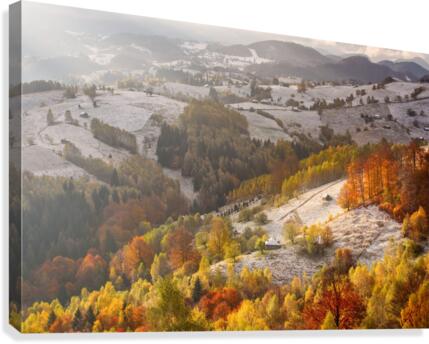 9W8A5140copy Canvas Print