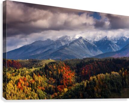 9W8A5575copy Canvas Print