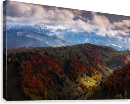 9W8A5607copy Canvas Print