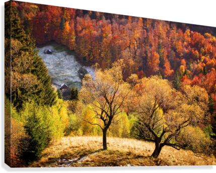 9W8A5527copy Canvas Print