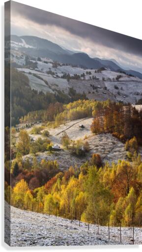9W8A5174copy Canvas Print