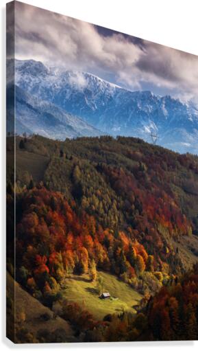 9W8A5614copy Canvas Print