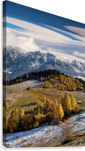 9W8A5650copy Canvas Print