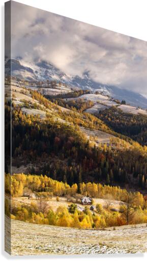 9W8A5290copy Canvas Print