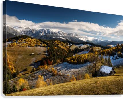 9W8A5713copy Canvas Print