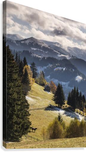 9W8A5696copy Canvas Print