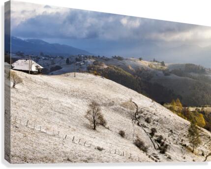9W8A5012copy Canvas Print