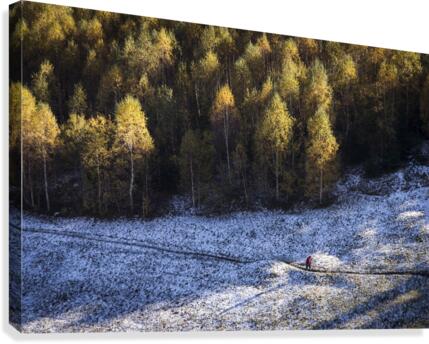 9W8A5717copy Canvas Print