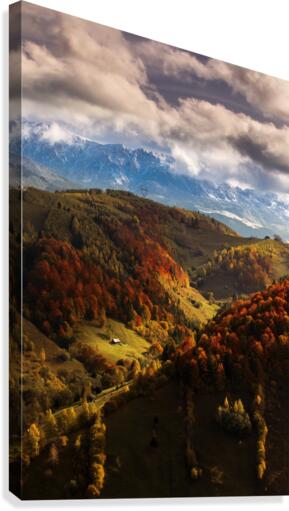 9W8A5599copy Canvas Print