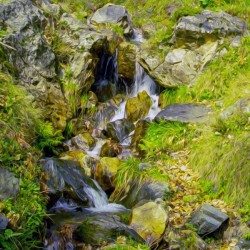 Spring