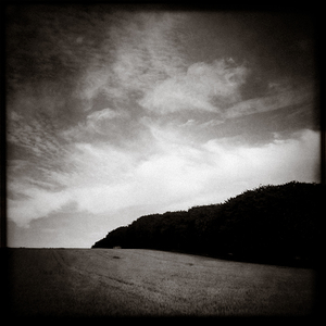 Forests Edge
