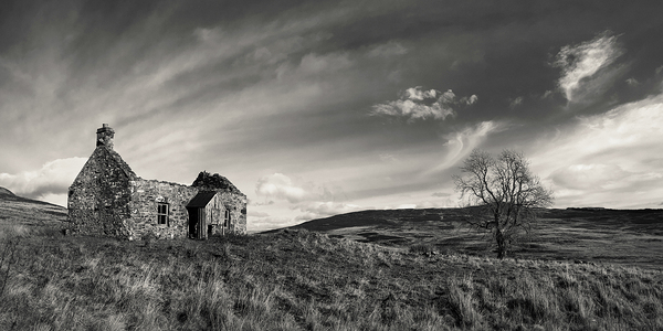 Old Cottage and Tree Print