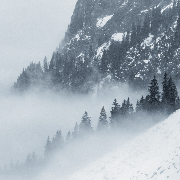 Snowy Day in the Alps Print