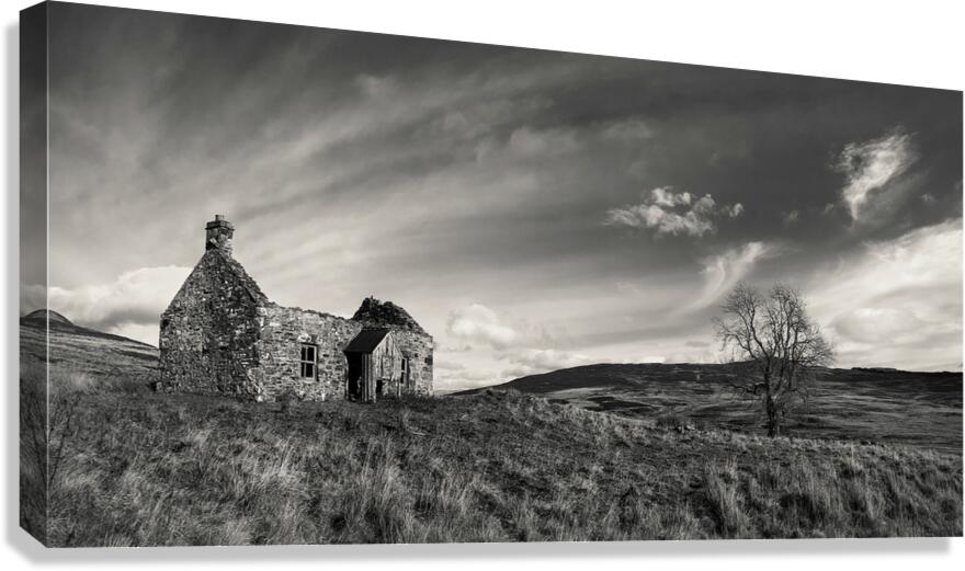 Old Cottage and Tree Canvas Print