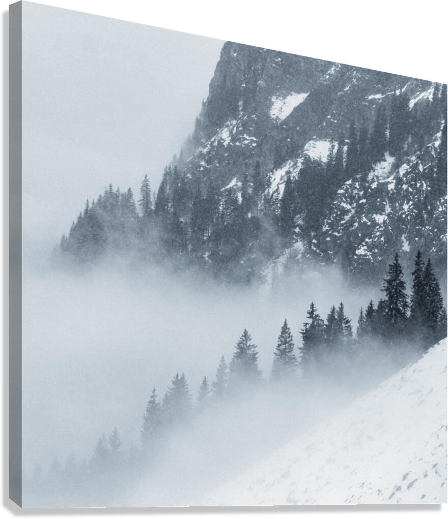 Snowy Day in the Alps Canvas Print