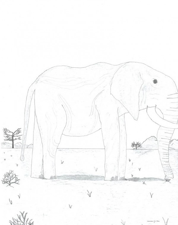 Mr. Elephant Print