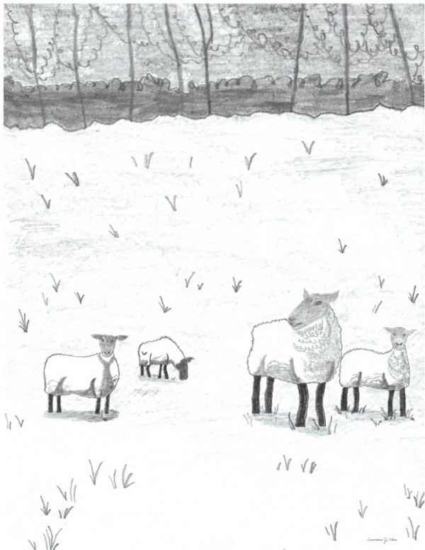 My Sheep Hear My Voice Print
