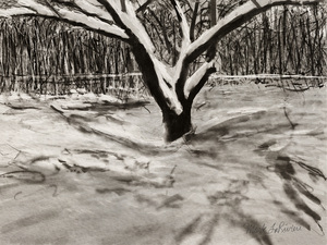 Snow Shadow