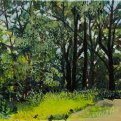 Chappy Copse