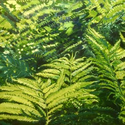 Lady Ferns