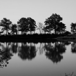 Eagle Pond