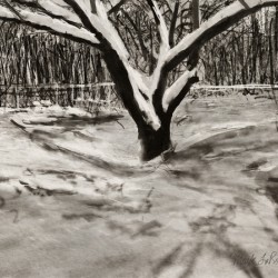 Snow Shadow
