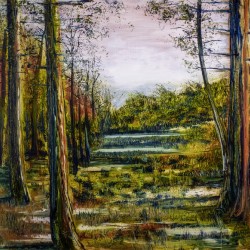 Forest Pond
